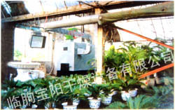大棚、花卉供暖設(shè)備